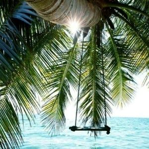 Meet your Posher, Lacey